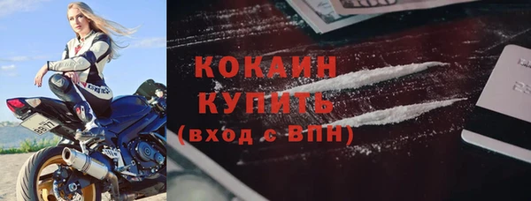 прущие грибы Нея