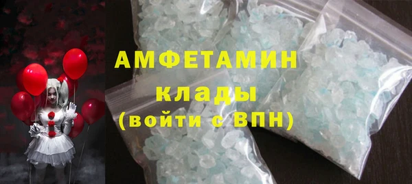 прущие грибы Нея