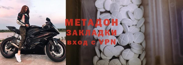 прущие грибы Нея