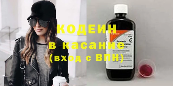 прущие грибы Нея