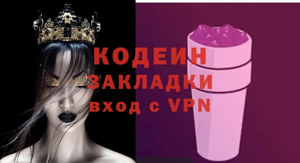 индика Апатиты