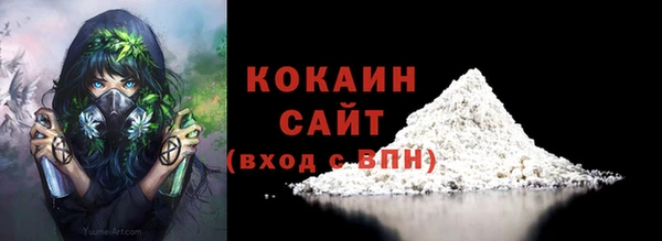 прущие грибы Нея