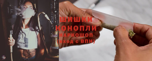 индика Апатиты