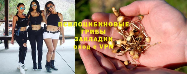 прущие грибы Нея