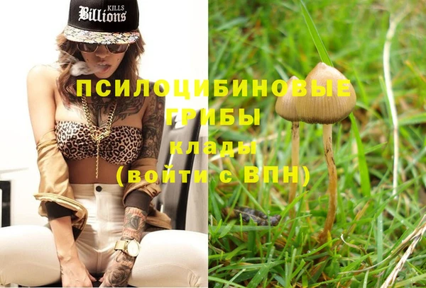 ALPHA-PVP Нефтегорск