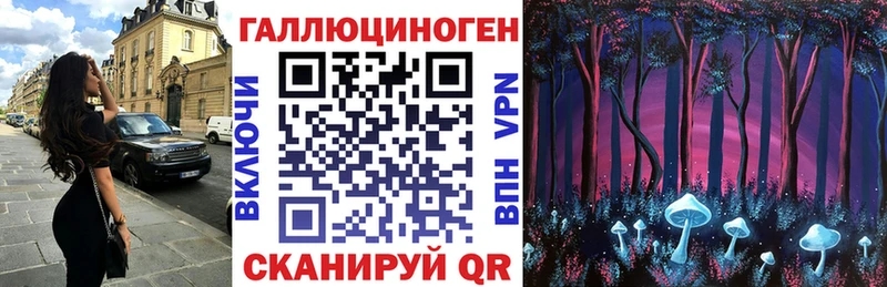 Псилоцибиновые грибы MAGIC MUSHROOMS  omg зеркало  Шахты 