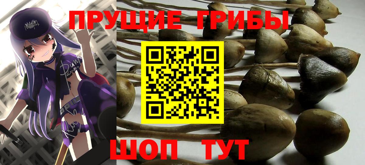 Галлюциногенные грибы мухоморы Шахты