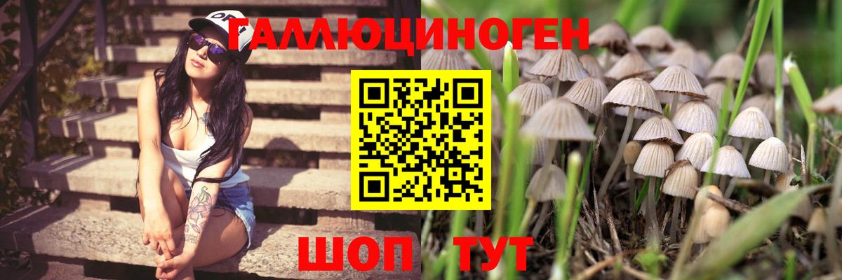 Шахты  Псилоцибиновые грибы мицелий  Вход с VPN  Псилоцибиновые грибы прущие грибы 